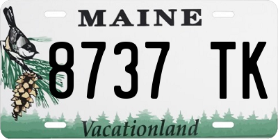 ME license plate 8737TK