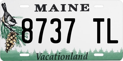 ME license plate 8737TL