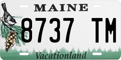 ME license plate 8737TM