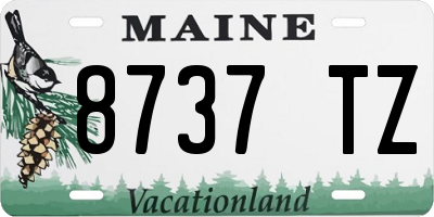 ME license plate 8737TZ