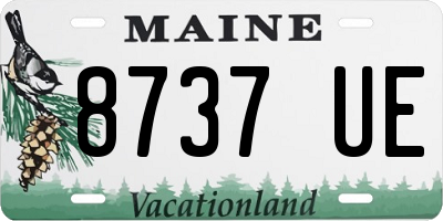 ME license plate 8737UE