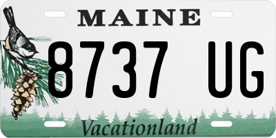 ME license plate 8737UG