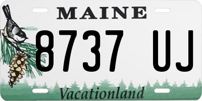 ME license plate 8737UJ