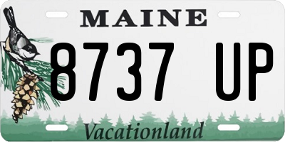 ME license plate 8737UP