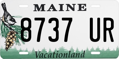 ME license plate 8737UR