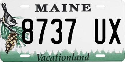 ME license plate 8737UX