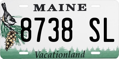 ME license plate 8738SL