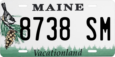 ME license plate 8738SM