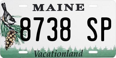ME license plate 8738SP