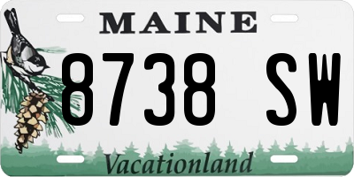 ME license plate 8738SW