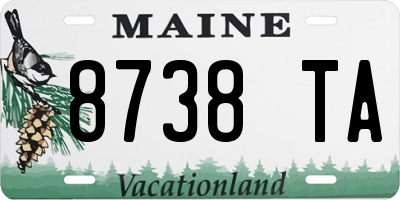 ME license plate 8738TA