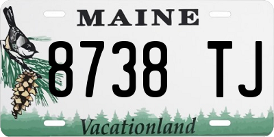 ME license plate 8738TJ