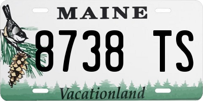 ME license plate 8738TS