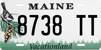 ME license plate 8738TT