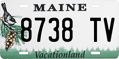 ME license plate 8738TV