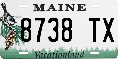 ME license plate 8738TX