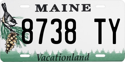 ME license plate 8738TY