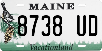 ME license plate 8738UD