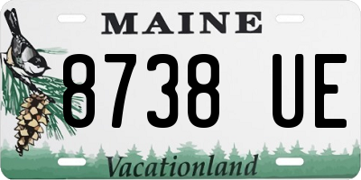 ME license plate 8738UE