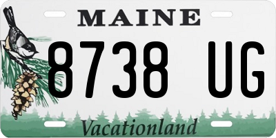 ME license plate 8738UG