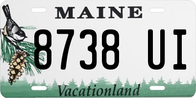 ME license plate 8738UI