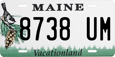 ME license plate 8738UM
