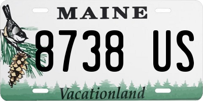 ME license plate 8738US