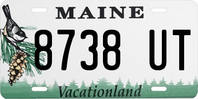 ME license plate 8738UT