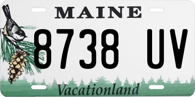 ME license plate 8738UV