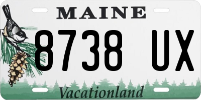 ME license plate 8738UX