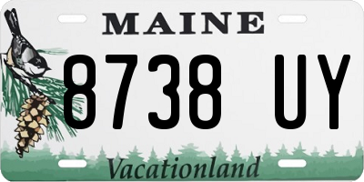 ME license plate 8738UY