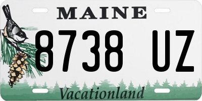 ME license plate 8738UZ