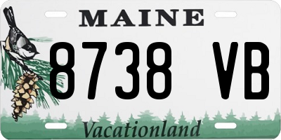 ME license plate 8738VB