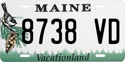 ME license plate 8738VD