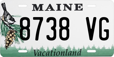 ME license plate 8738VG