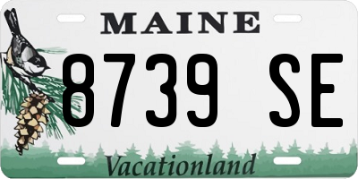 ME license plate 8739SE