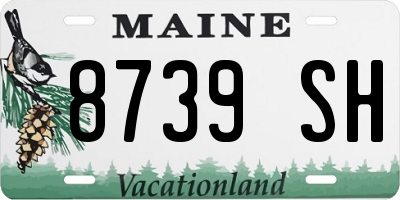 ME license plate 8739SH