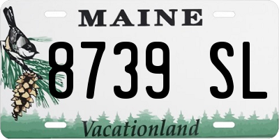 ME license plate 8739SL