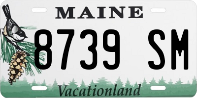 ME license plate 8739SM