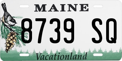 ME license plate 8739SQ