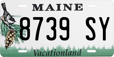 ME license plate 8739SY