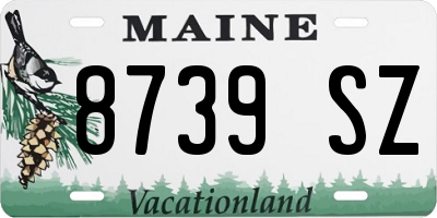 ME license plate 8739SZ