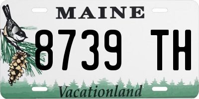 ME license plate 8739TH