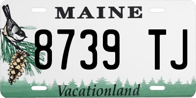 ME license plate 8739TJ