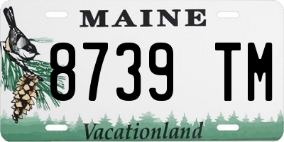 ME license plate 8739TM