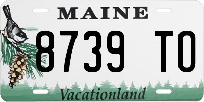 ME license plate 8739TO
