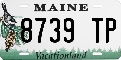 ME license plate 8739TP