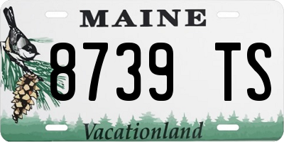 ME license plate 8739TS