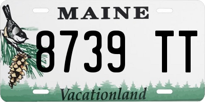 ME license plate 8739TT