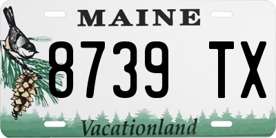 ME license plate 8739TX